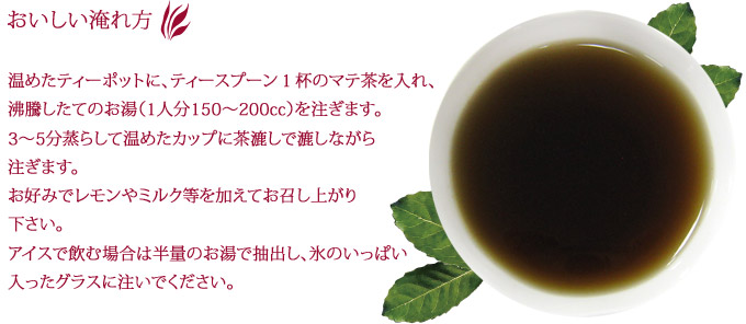 日本マテ茶協会推奨 ブラックマテ茶 ボックス ロースト 品番95 世界のお茶の専門店ティーブティック 日本マテ茶協会推奨 ブラックマテ茶 ボックス ロースト 品番95 世界のお茶の専門店ティーブティック