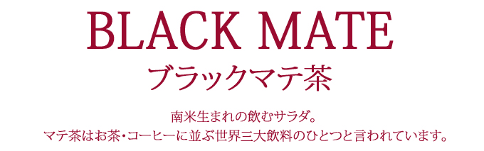 ブラックマテ茶　南米生まれの飲むサラダ　マテ茶はお茶・コーヒーに並ぶ世界三大飲料のひとつと言われています。