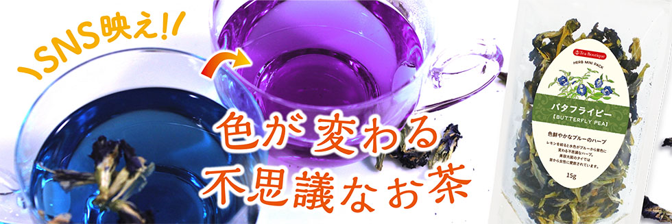 青い飲み物、色が変わるバタフライピー！サイエンススイーツにもおすすめ！