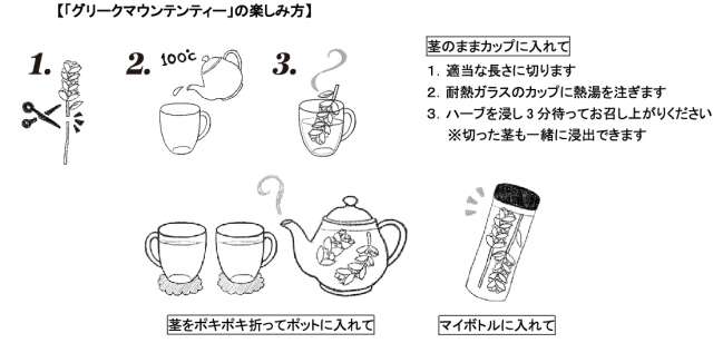 グリークマウンテンティーの楽しみ方