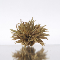 茉莉花茶 仙桃(ジャスミンチャ セントウ) 250g